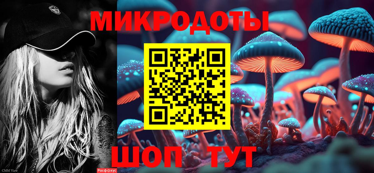 Галлюциногенные грибы Cubensis Прохладный
