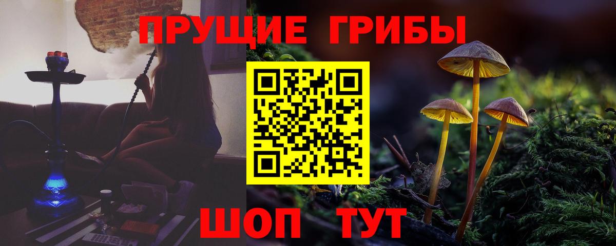 Галлюциногенные грибы GOLDEN TEACHER  Псилоцибиновые грибы Cubensis  Вход с VPN  Прохладный 